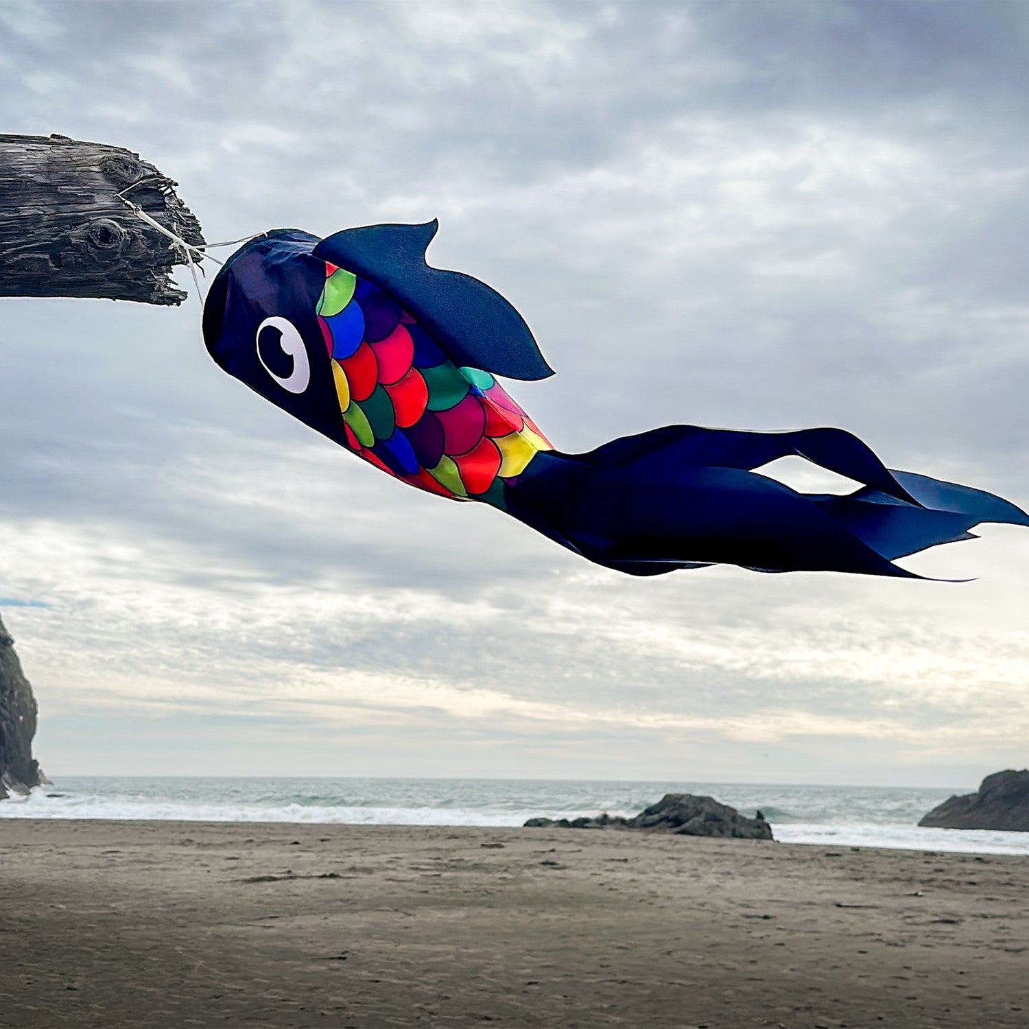 30-inch Black & Rainbow Damsel Fish Windsock swaying in a gentle breeze, featuring flowing fins and colorful design suitable for outdoor decor.