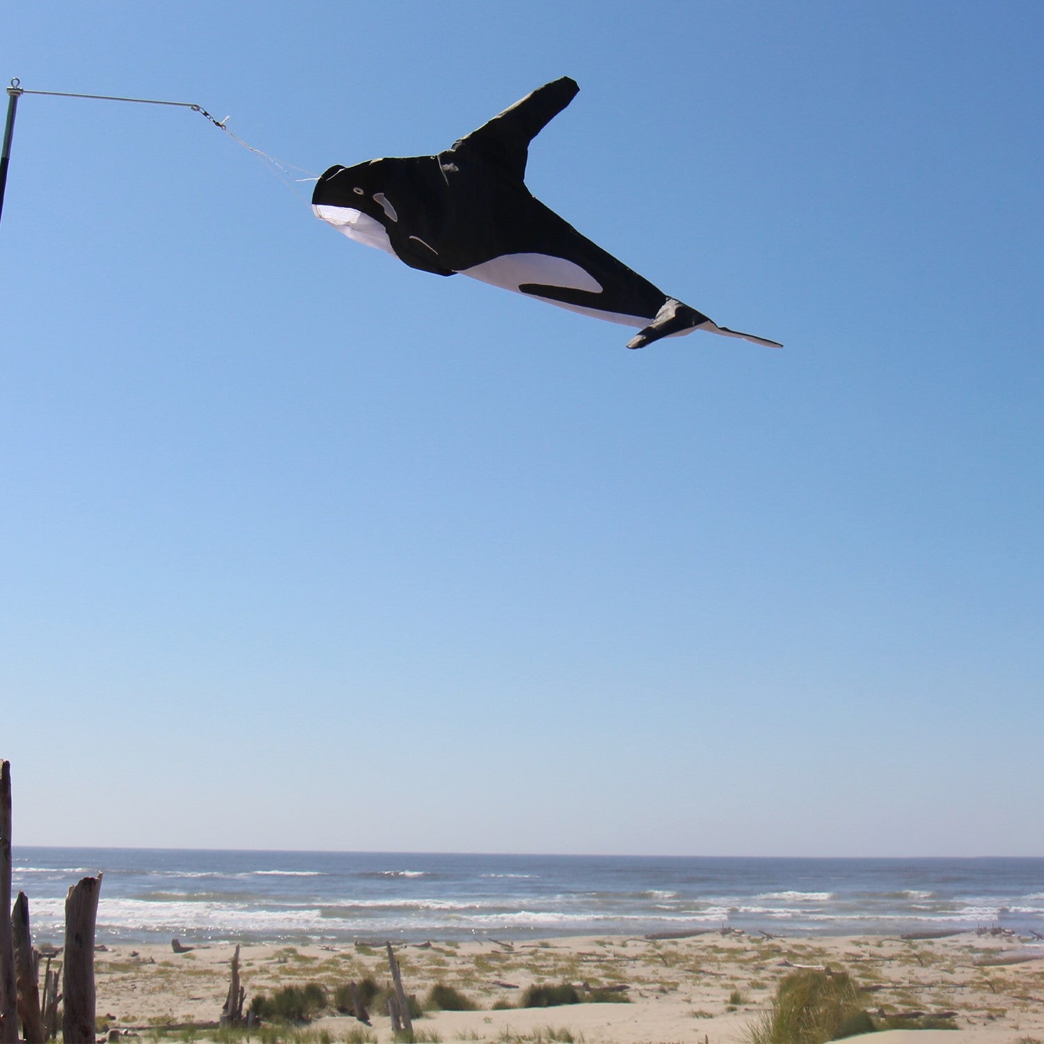 30-inch Orca Windsock featuring a killer whale design, displayed outdoors, swaying gently in the breeze against a clear sky.