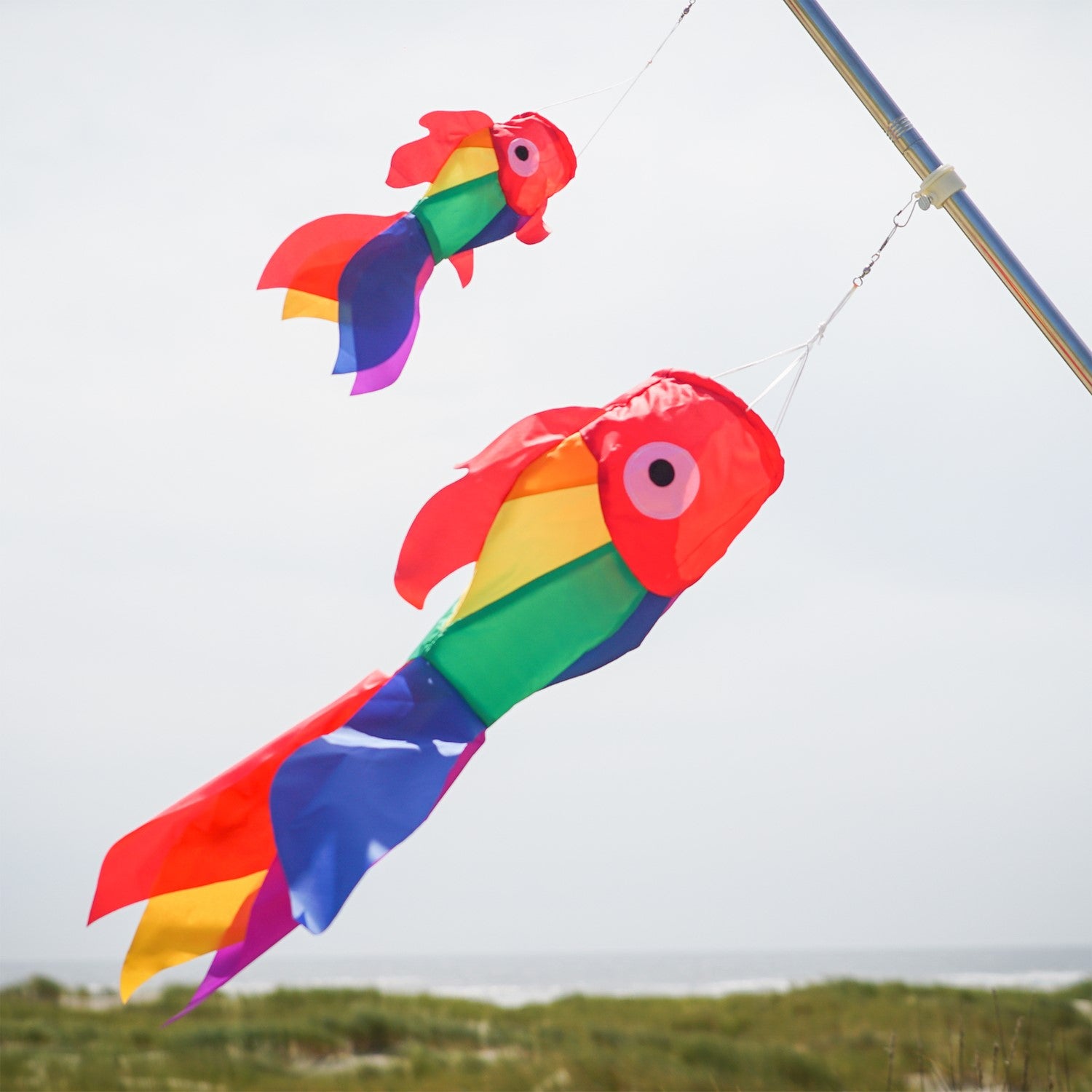 30" Rainbow Damsel Fish Windsock features colorful applique design, strong construction, and a lively presence, perfect for any outdoor decoration theme.