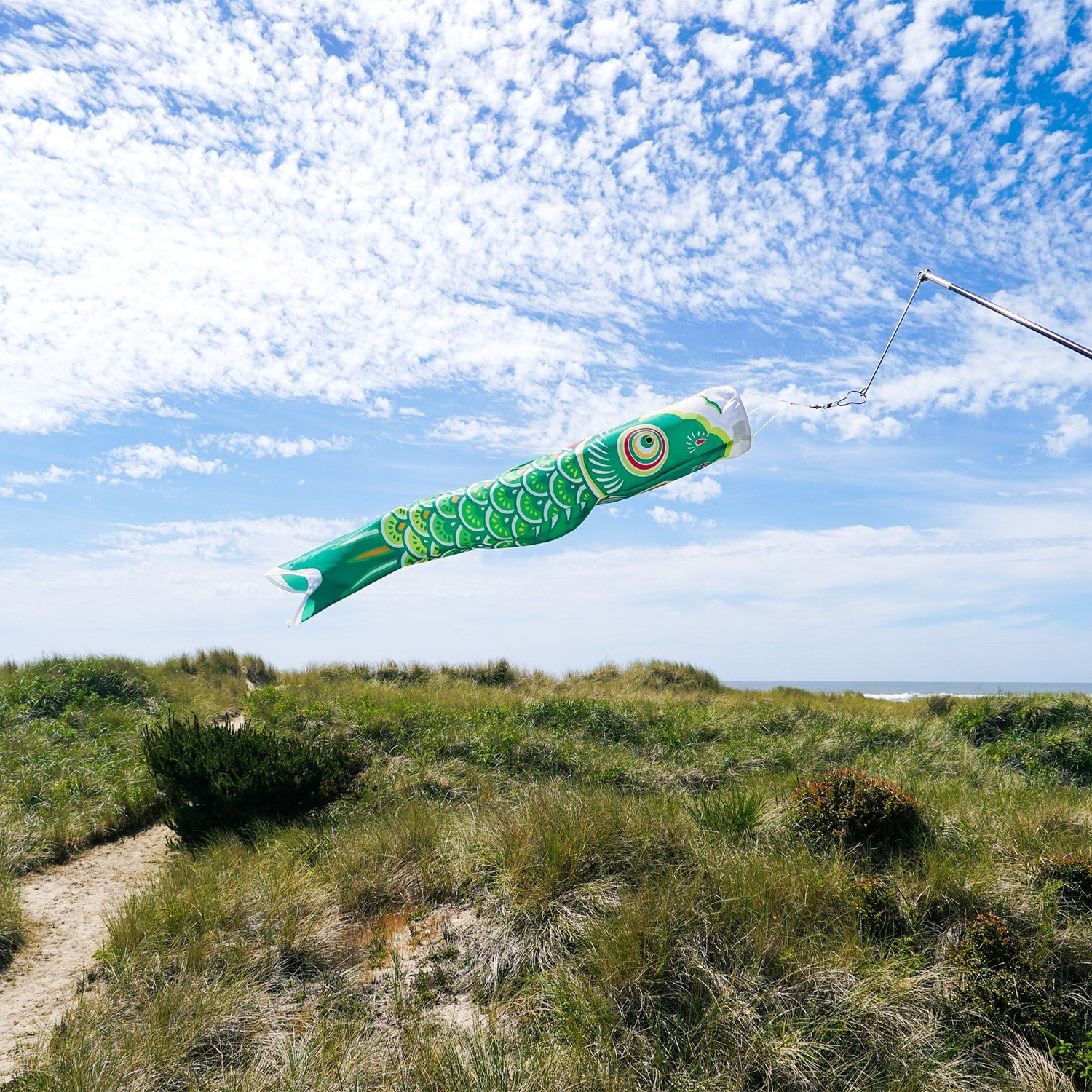 36-inch Green Koi windsock hanging outdoors, showing vibrant colors and intricate details, perfect for garden decoration.