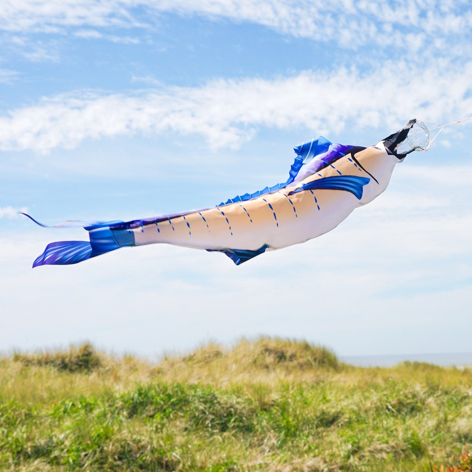 36 inch Marlin Windsock with vibrant colors and realistic design showcased outdoors, fluttering in the wind, ideal for fishing enthusiasts.