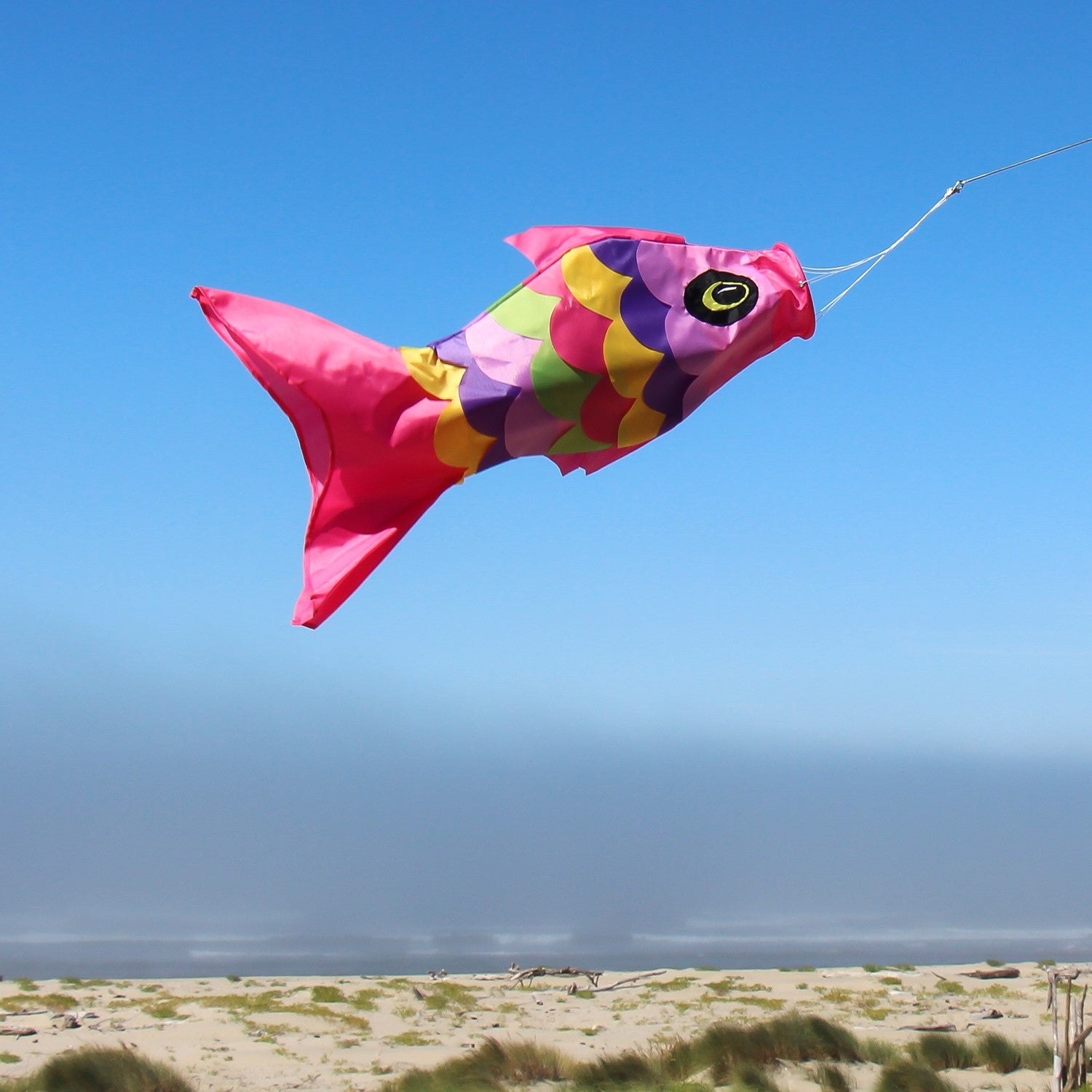 Colorful 36" Soft Overlay Fish windsock with detailed applique design and embroidered accents hanging from a tree in an outdoor setting.