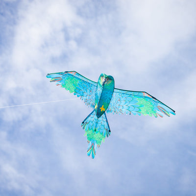 3D Blue Parrot Kite featuring lifelike details and vibrant colors soaring in the sky, showcasing a realistic bird design perfect for outdoor fun.