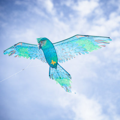3D Blue Parrot Kite featuring lifelike details and vibrant colors soaring in the sky, showcasing a realistic bird design perfect for outdoor fun.