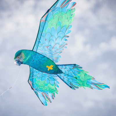 3D Blue Parrot Kite featuring lifelike details and vibrant colors soaring in the sky, showcasing a realistic bird design perfect for outdoor fun.