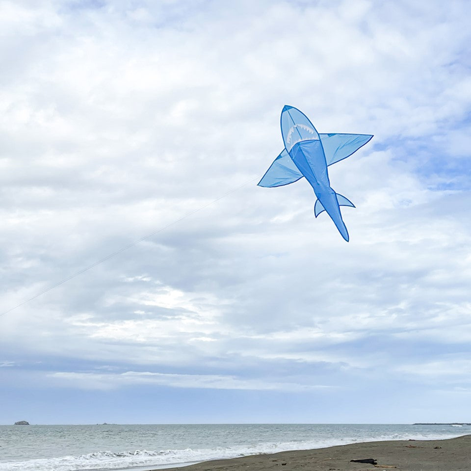 5' 3D Blue Shark kite soaring in the sky, featuring detailed tooth-lined jaws and dynamic tail, perfect for outdoor adventures.