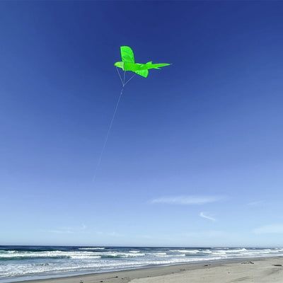 5-foot 3D Green Shark Kite soaring in a clear blue sky, showcasing its lively 3D design and vibrant colors.