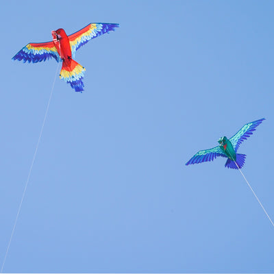 3D Hummingbird Kite in vibrant colors with a realistic design, flying against a blue sky, showcasing its detailed wingspan and body construction.