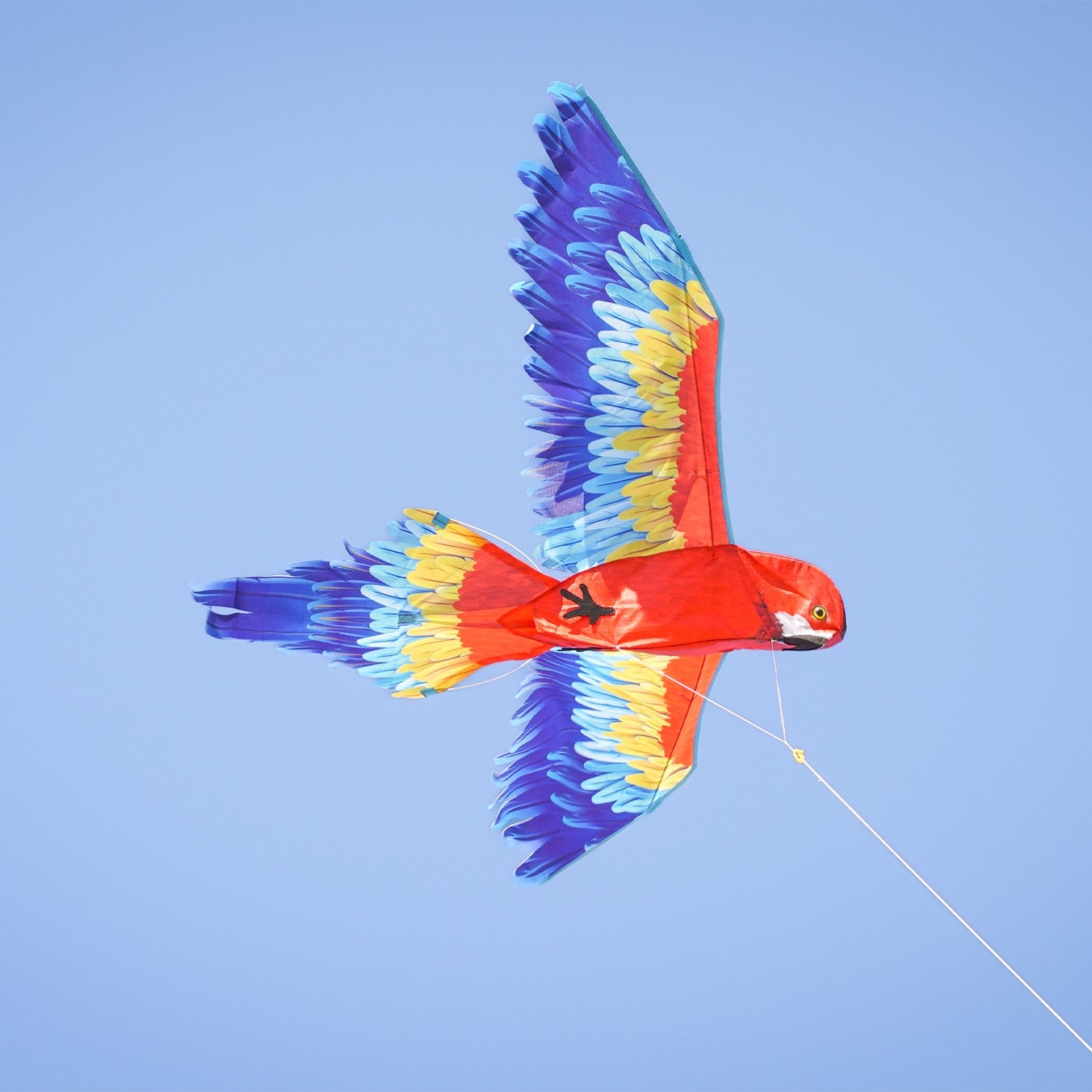 3D Scarlett Parrot Kite soaring in the sky, showcasing its vibrant colors and realistic design against a blue backdrop.