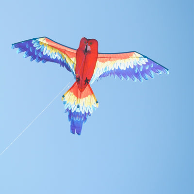 3D Scarlett Parrot Kite soaring in the sky, showcasing its vibrant colors and realistic design against a blue backdrop.