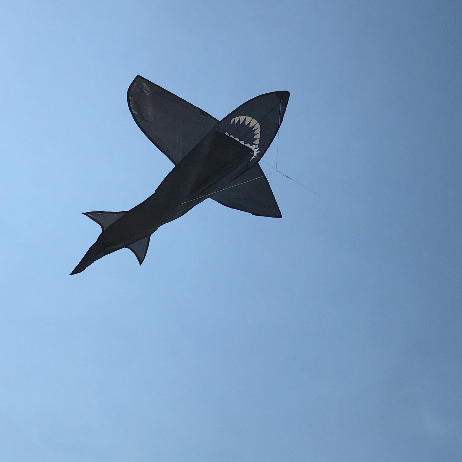 A vibrant 4' 3D Shark Kite soaring across a blue sky, showcasing its toothy design and dynamic motion as it is flown by a family enjoying the outdoors.