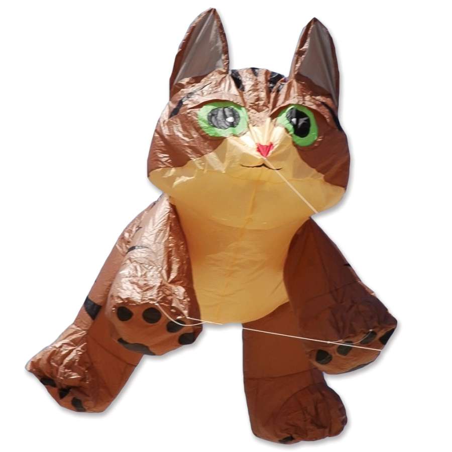 4 ft. Brown Tabby Kitten Line Device for Kites, designed by Christophe Goy, soaring in the sky on a sunny day, displaying bright colors and charm.