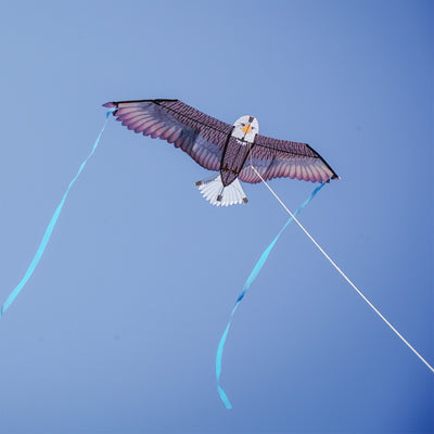 40-Inch Bald Eagle Bitty Bird Kite soaring in the sky, featuring realistic details, streamer tails, and ripstop fabric for outdoor fun.