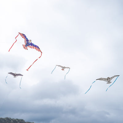40-Inch Bald Eagle Bitty Bird Kite soaring in the sky, featuring realistic details, streamer tails, and ripstop fabric for outdoor fun.