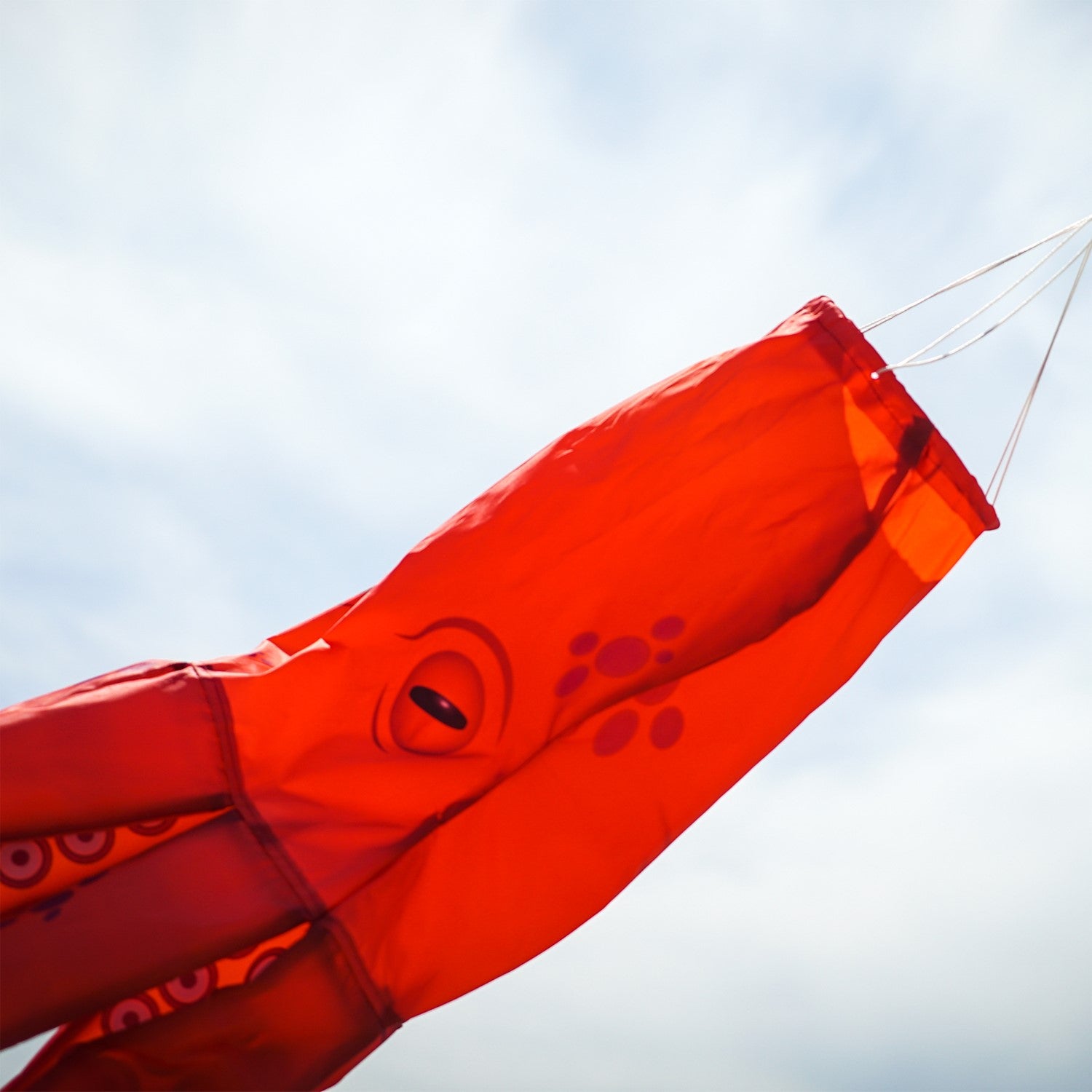 40-inch Octopus 3D Windsock featuring realistic tentacle design, fully printed on durable material, displayed outdoors in a garden setting.