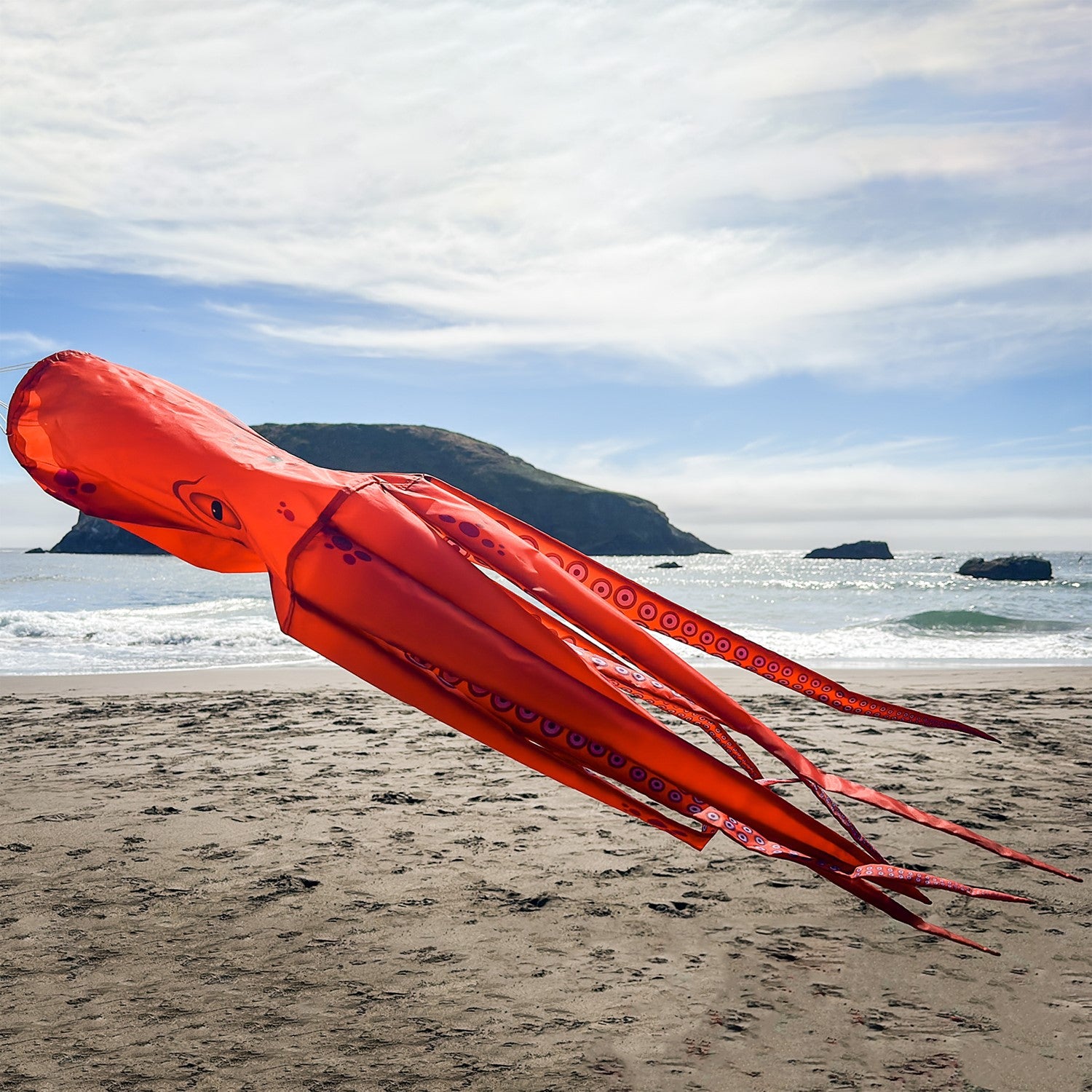 40-inch Octopus 3D Windsock featuring realistic tentacle design, fully printed on durable material, displayed outdoors in a garden setting.