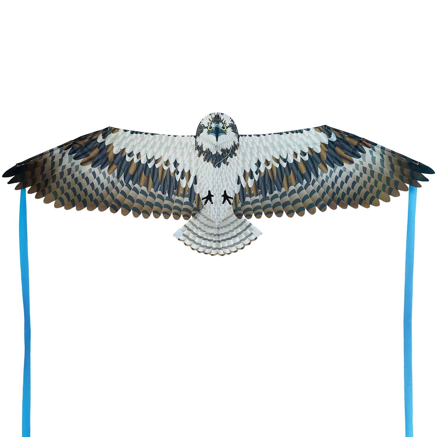 40-inch Osprey Bitty Bird Kite featuring realistic design with applique talons, soaring in a blue sky during outdoor fun.