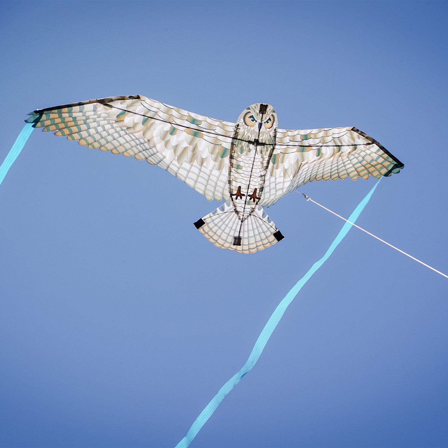 40-inch Owl Bitty Bird Kite featuring a realistic design of a great horned owl in flight, displayed against a blue sky.