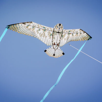 40-inch Owl Bitty Bird Kite featuring a realistic design of a great horned owl in flight, displayed against a blue sky.