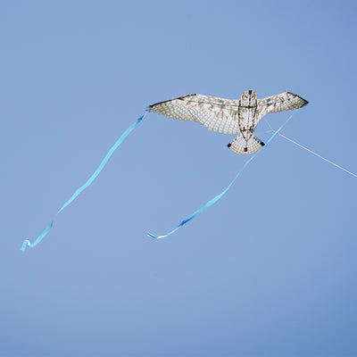 40-inch Owl Bitty Bird Kite featuring a realistic design of a great horned owl in flight, displayed against a blue sky.