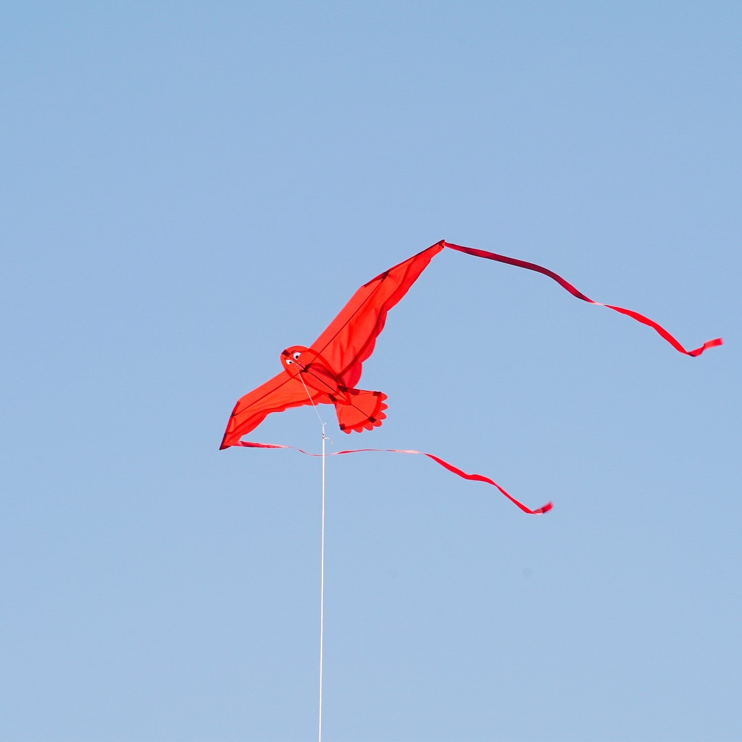40-inch Red Bitty Bird Kite featuring vibrant applique design, flying high with color-coordinated streamer tails against a clear sky.