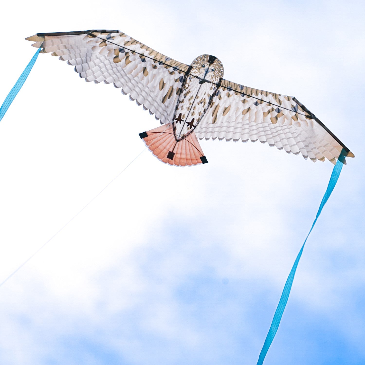 40-Inch Red-Tailed Hawk Bitty Bird Kite in flight, showcasing its realistic design and vibrant colors with streamers flowing behind.