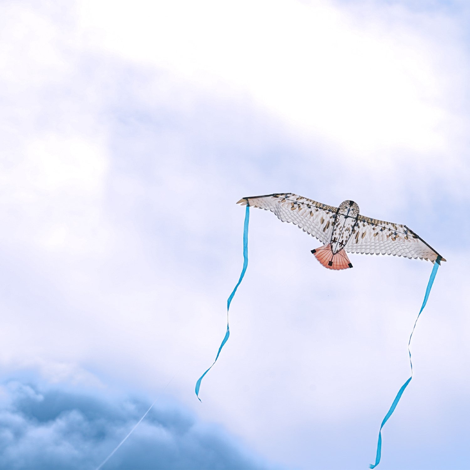 40-Inch Red-Tailed Hawk Bitty Bird Kite in flight, showcasing its realistic design and vibrant colors with streamers flowing behind.