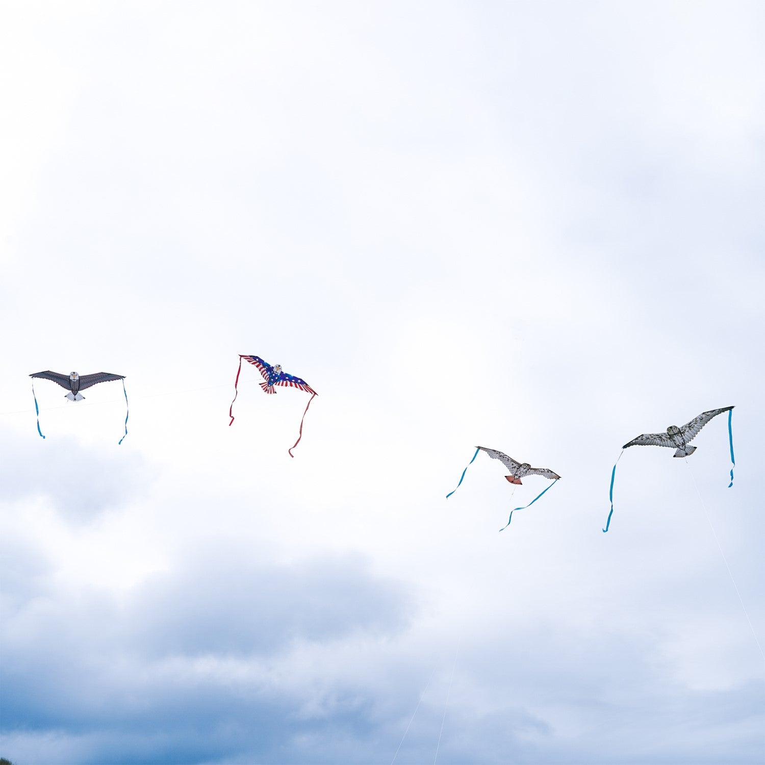 40-Inch Red-Tailed Hawk Bitty Bird Kite in flight, showcasing its realistic design and vibrant colors with streamers flowing behind.