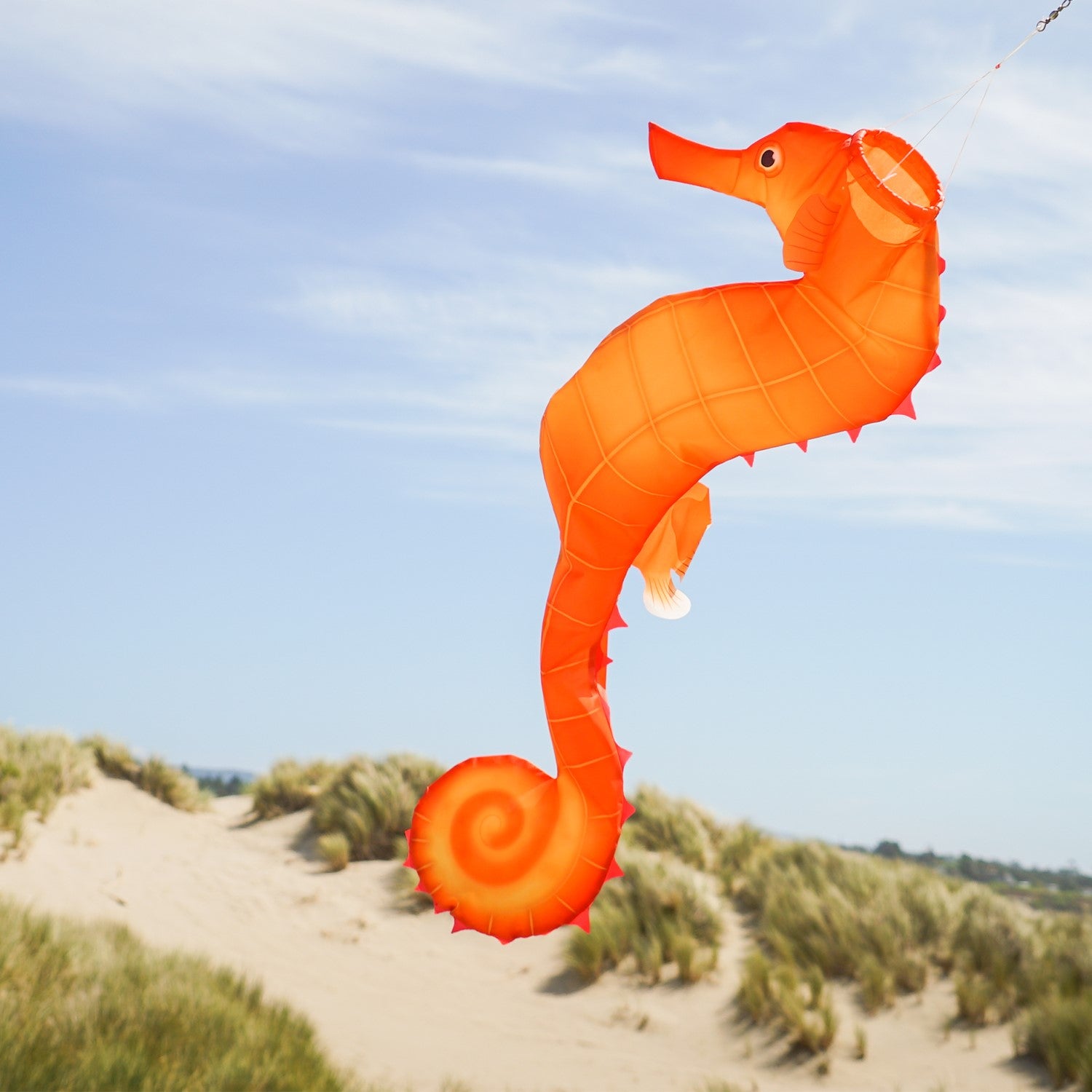 40-inch Seahorse 3D Windsock with realistic design, showcasing vibrant colors and detailed anatomy, displayed hanging outdoors in a breezy setting.