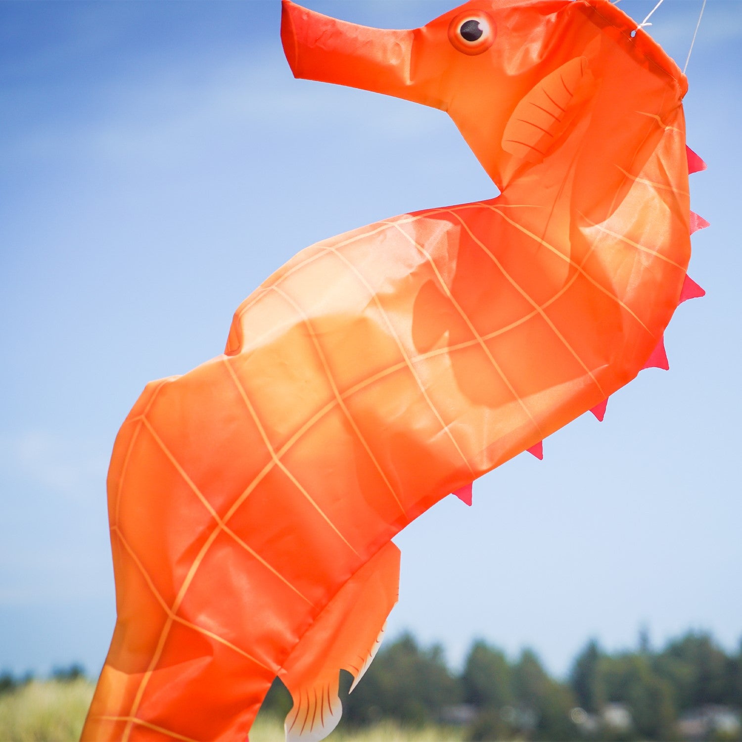 40-inch Seahorse 3D Windsock with realistic design, showcasing vibrant colors and detailed anatomy, displayed hanging outdoors in a breezy setting.