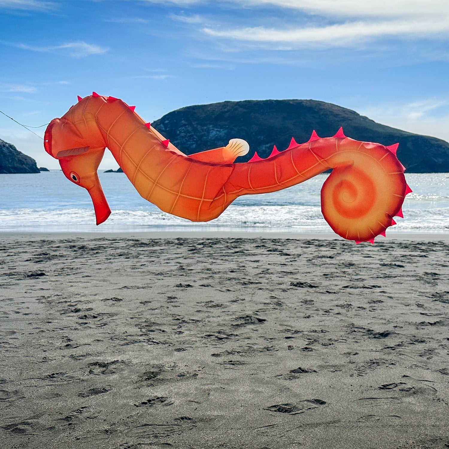 40-inch Seahorse 3D Windsock with realistic design, showcasing vibrant colors and detailed anatomy, displayed hanging outdoors in a breezy setting.