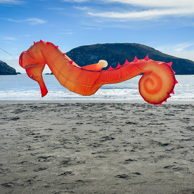 40-inch Seahorse 3D Windsock with realistic design, showcasing vibrant colors and detailed anatomy, displayed hanging outdoors in a breezy setting.