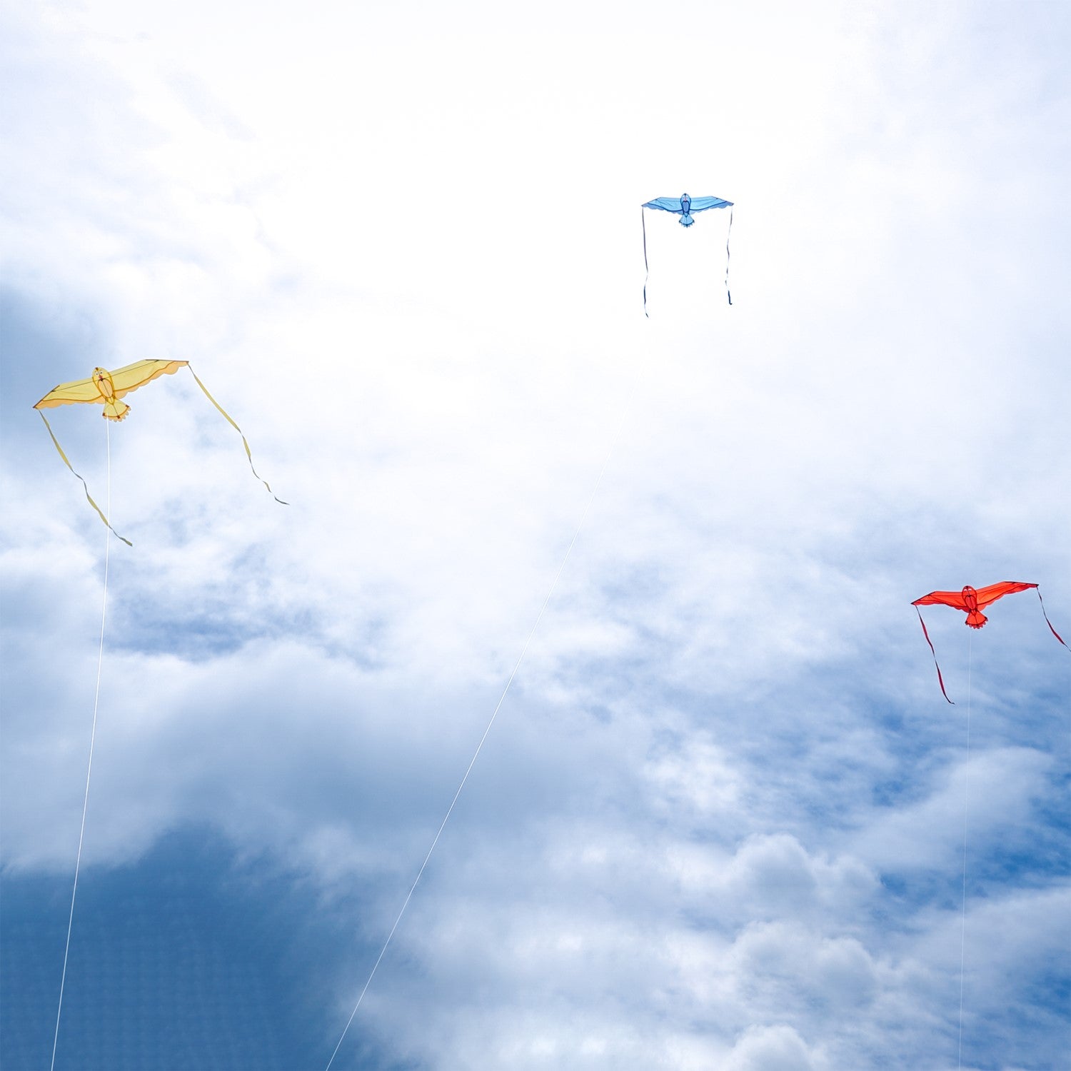 40-inch Yellow Bitty Bird Kite soaring in the sky with color-coordinated streamer tails and a cheerful bird design.