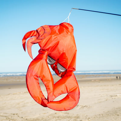 40-inch Realistic Crab 3D Windsock showcasing vibrant colors and detail, hanging outdoors in a garden against a blue sky.
