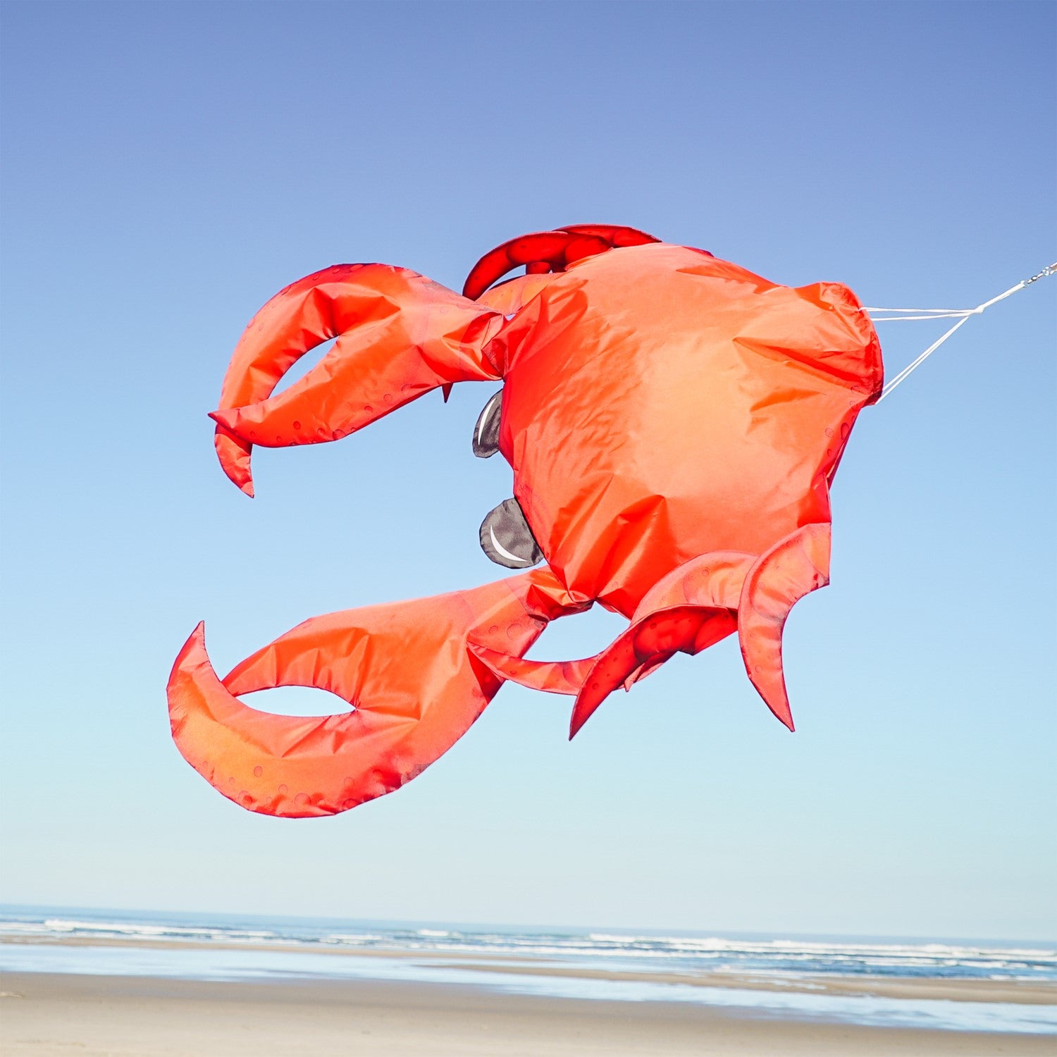 40-inch Realistic Crab 3D Windsock showcasing vibrant colors and detail, hanging outdoors in a garden against a blue sky.