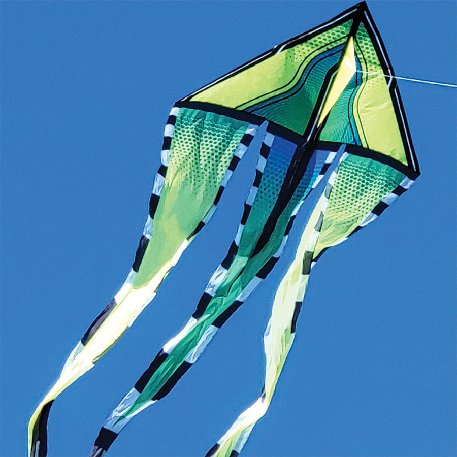 46 in. Flo-Train Delta Kite soaring high in the sky, showcasing its vibrant design and long tail during an outdoor event.