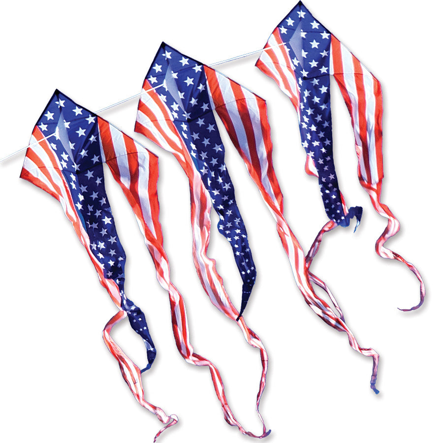 Patriotic 46 in. Flo-Train Delta Kite set with colorful prints and 12-foot tails flying high against a blue sky.