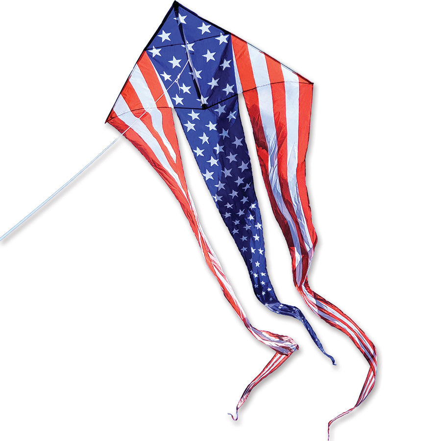 46 in. Flo-Train Delta Kite featuring bright colors and long tails, perfect for flying and outdoor fun with family and friends.