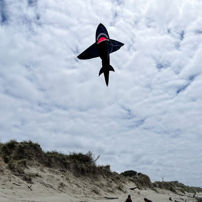 5-foot 3D Black Shark kite flying against a clear blue sky, showing its tooth-lined jaws and dynamic tail movement.