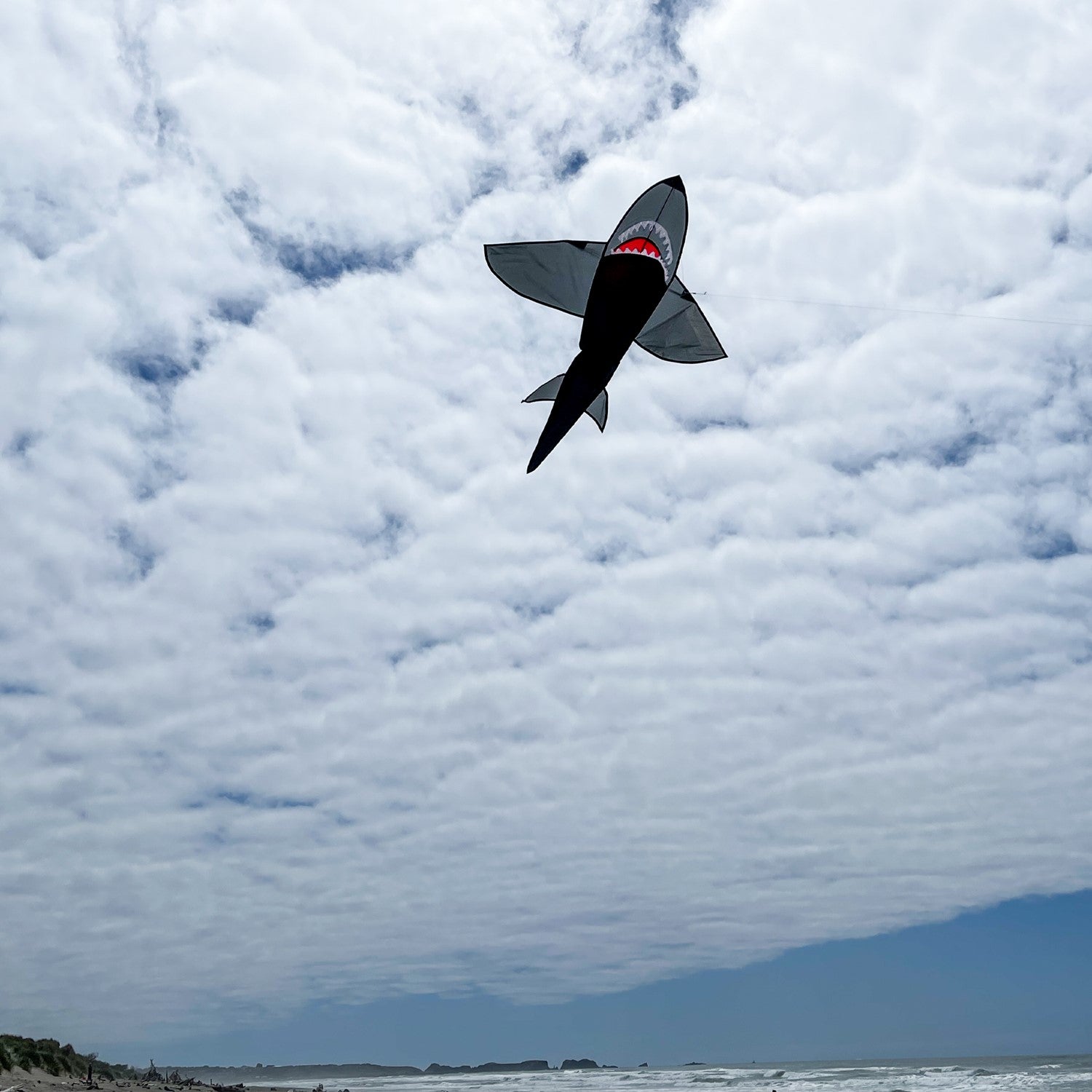 5-foot 3D Black Shark kite flying against a clear blue sky, showing its tooth-lined jaws and dynamic tail movement.