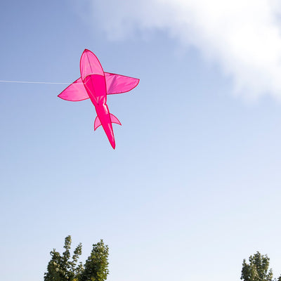 5' 3D Pink Shark Kite soaring against a clear blue sky, showcasing its vibrant colors and detailed design in flight.