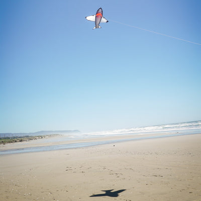5' Realistic Shark Kite gliding through the sky, showcasing its 3D appearance and toothy grin, perfect for outdoor activities.