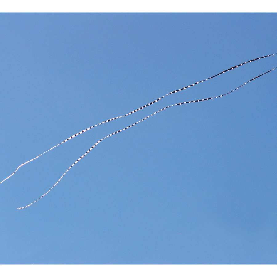 5 in. x 100 ft. Transition Tail - Black/White displayed trailing behind a colorful kite in a bright blue sky setting, enhancing the kite's visual impact.