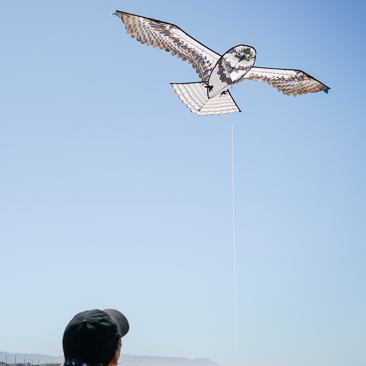 70-inch Osprey Kite with realistic detailing and colorful features soaring in the sky against a blue background.