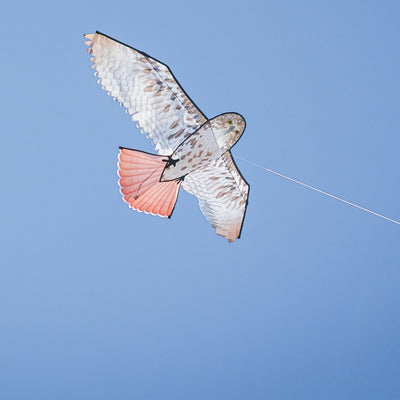 The 70" Red-Tailed Hawk Kite features a stunning design of a red-tailed hawk soaring above, meticulously crafted for realism, perfect for outdoor fun.