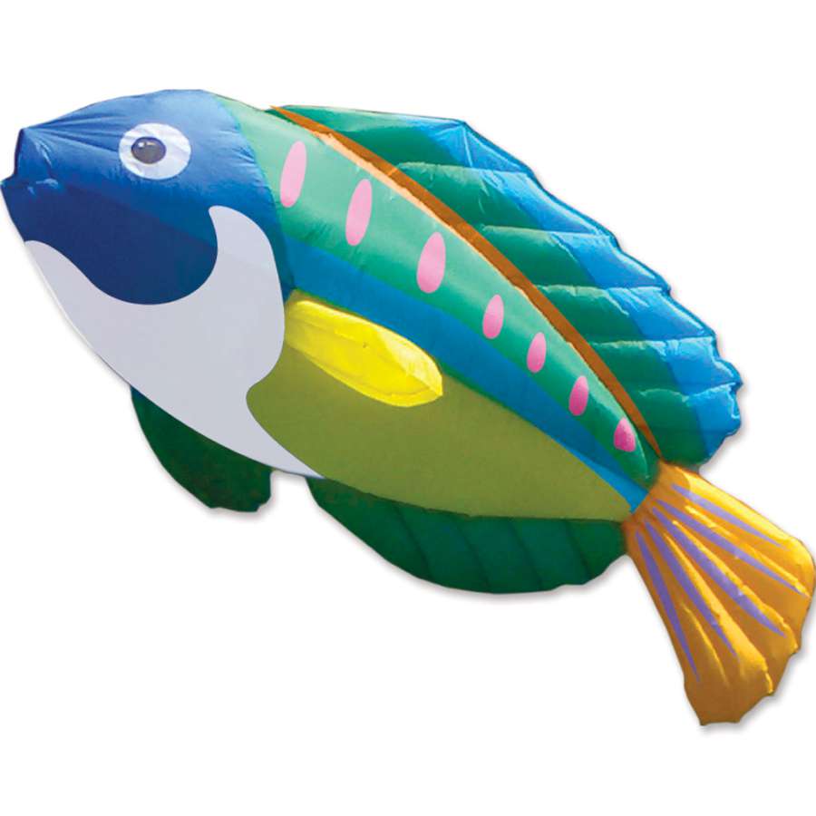8 ft. Peacock Wrasse Kite in vibrant colors flying high against a blue sky, designed by Christophe Goy for outdoors and kite enthusiasts.