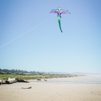 90" dragon kite featuring a vibrant dragon design soaring through the sky, complete with a long inflatable tail for stability and easy handling.