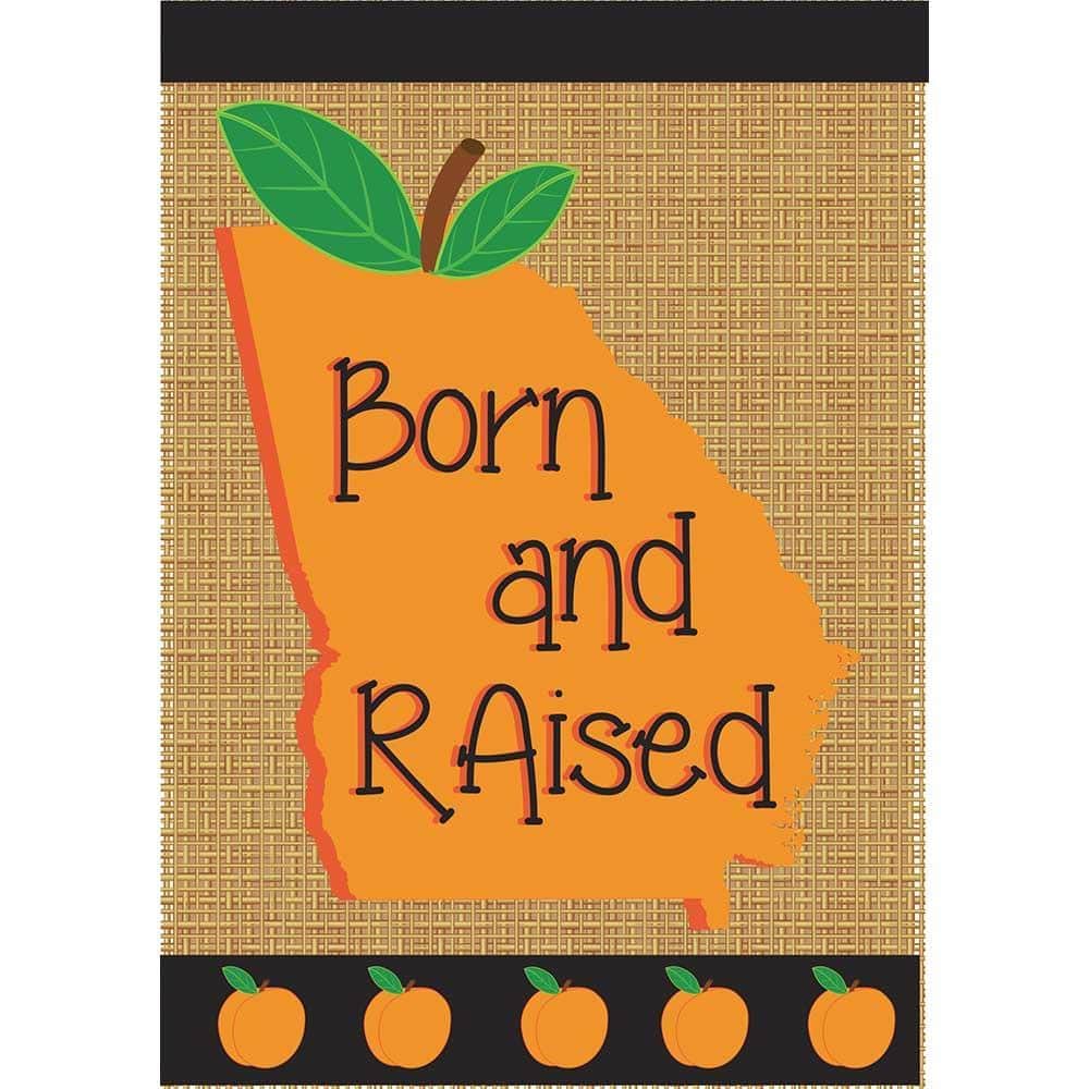 Image of a 13x18 Born Raised Georgia double applique garden flag featuring raised "Born Raised" lettering and a Georgia silhouette in layered stitched fabric.