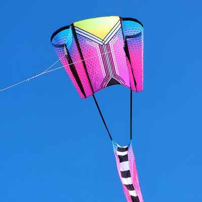 Aero Tech Power Sled 10 kite in Purple Plum flying high with a massive banner tail in a clear blue sky background.