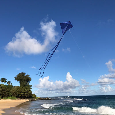 Blue Colorfly 30-inch Diamond Kite with three tails soaring against a clear blue sky, showcasing its vibrant color and durable design.
